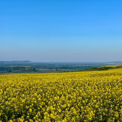 The lovely Pewsey Vale