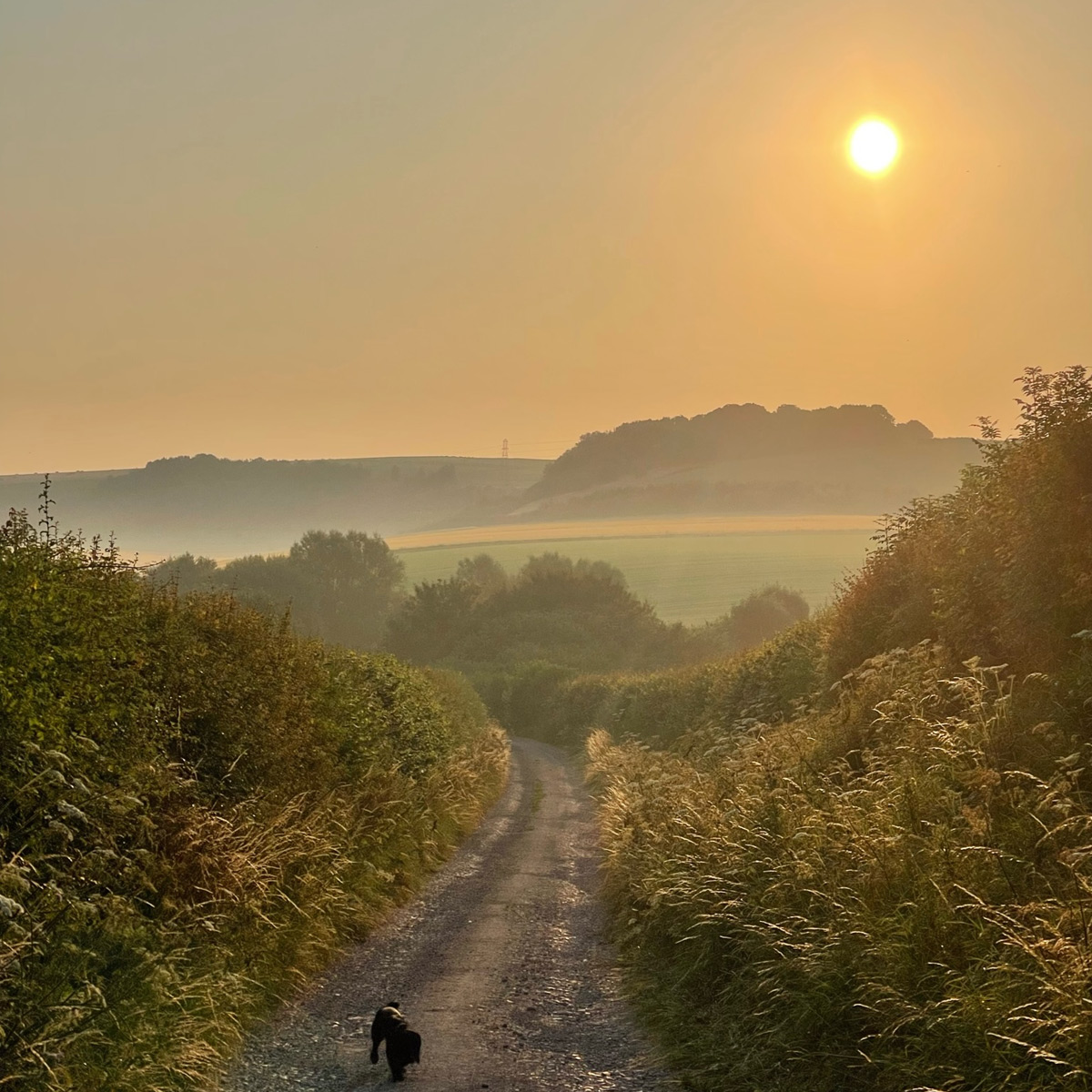 Grafton Parish in Wiltshire